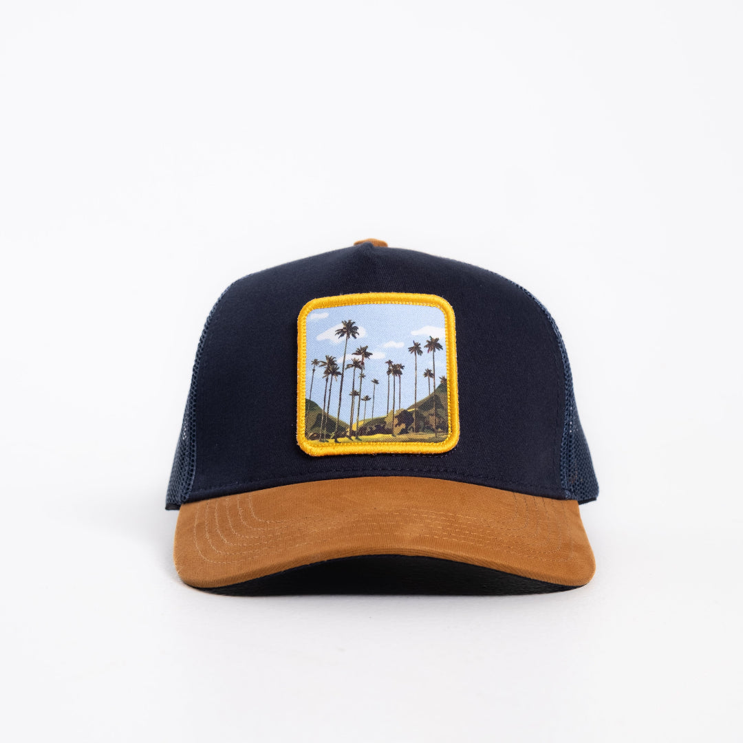 GORRA TRUCKER ESTO ES COLOMBIA COCORA - FRENTE DURO